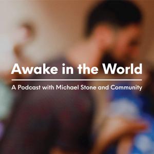 Awake in the World Podcast by Michael Stone