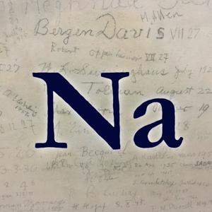 Een Podcast over Natuurkunde by LION/Leiden Physics/Bruno van Wayenburg