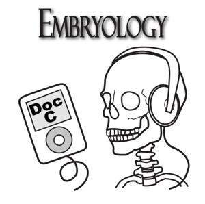 Biology 3130 -- Embryology with Doc C
