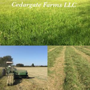 Cedargate Farms Haycast