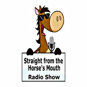 Straight From the Horse's Mouth Radio Show|Horse Radio|Horse Podcast|Creative Equestrians|Equestrian Mindset Coaches|Equine Artists/Authors|Horse Business Entrepreneurs| by Paula Slater:Horse Podcast Host, Blogger, Equine Marketing Strategist