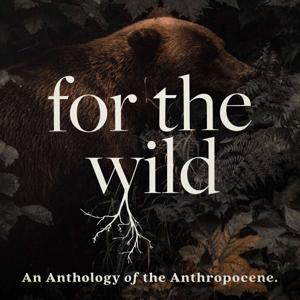 For The Wild by For The Wild
