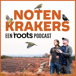 Notenkrakers by Roots Magazine