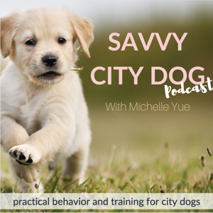 Dog & Puppy Training | Savvy City Dog by Michelle Yue