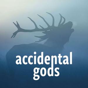 Accidental Gods by Accidental Gods