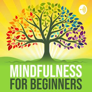 Mindfulness For Beginners by Shaun Donaghy