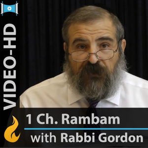 Rambam - 1 Chapter a Day