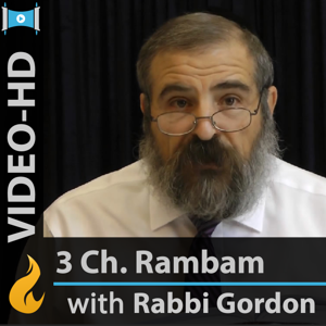Rambam - 3 Chapters a Day