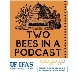 Two Bees in a Podcast by UF/IFAS Honey Bee Lab