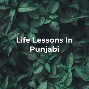 Life Lessons In Punjabi - From Great Books, Movies & History. by Jaish Wain