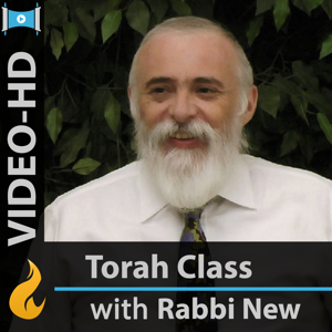 Commentaries on the Torah