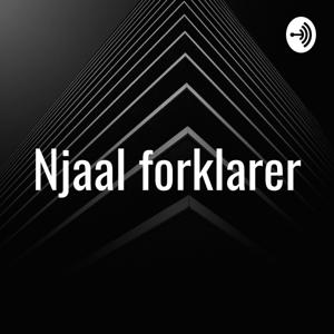 Njaal forklarer by Njaal Johansen