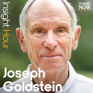 Insight Hour with Joseph Goldstein by Be Here Now Network