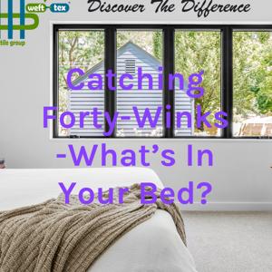 Catching Forty-Winks -What's In Your Bed?