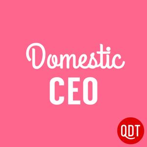 Domestic CEO's Quick & Dirty Tips to Managing Your Home