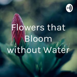 Flowers that Bloom without Water