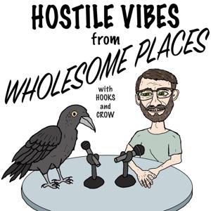 Hostile Vibes from Wholesome Places