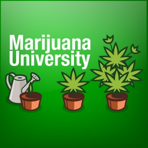 Marijuana University by Marijuana University