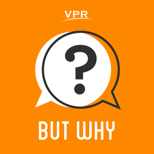But Why: A Podcast for Curious Kids by Vermont Public Radio