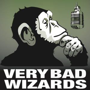 Very Bad Wizards by Tamler Sommers & David Pizarro