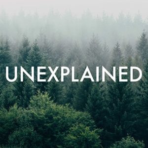Unexplained by Richard MacLean Smith