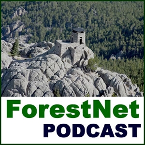 Forest Podcast by Gary C. Chancey