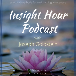 Insight Hour with Joseph Goldstein by MindPod Network